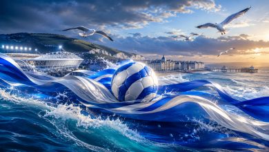 Brighton and Hove Albion Football Club