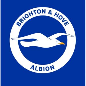 Desert Cactus Brighton & Hove Albion Poster BHAFC Seagulls Football Club Soccer 11 inches by 17 inches Decoration Room Official Fan Gear (11x17) (Design B, Paper)