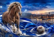 Ipswich Town Football Club