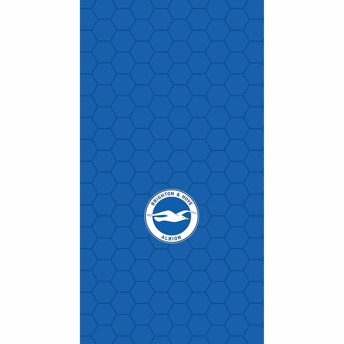The Official Brighton & Hove Albion FC Pocket Diary 2023 - Image 3