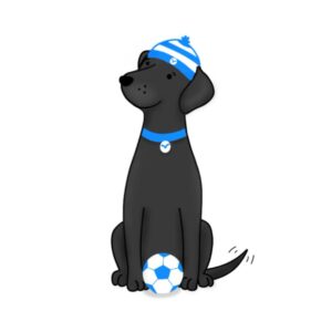 Brighton and Hove Football Labrador Fan Lined Notebook: Paperback Lined Notebook 100 Pages