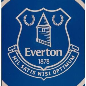 Everton F.C. TOWEL PULSE - 55in x 28in - Football Gift, Blue