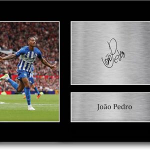 HWC Trading Joao Pedro Brighton & Hove Albion Gifts Printed Signed Autograph Picture for Football Fans and Supporters - A4