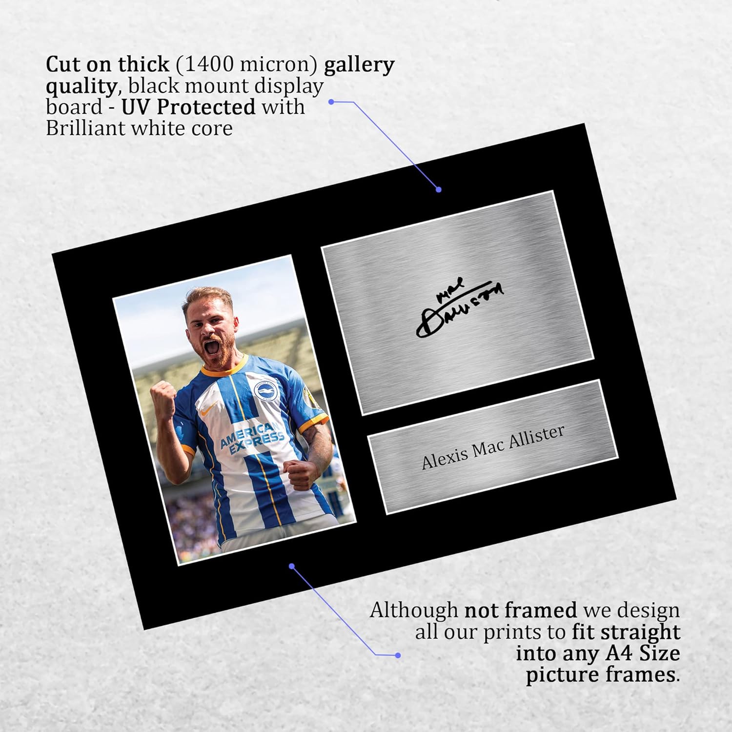 HWC Trading A4 Alexis Mac Allister Brighton & Hove Albion Gifts Printed Signed Autograph Picture for Football Fans and Supporters - A4 - Image 3