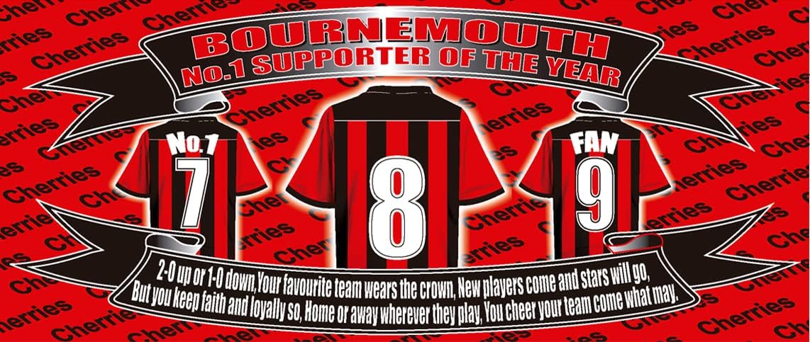 Bournemouth Football Shirt Ceramic Money Box Gift - Image 2