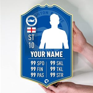 Themed Brighton Gift Personalised Football Stats Card Brighton & Hove Albion Customised Football Gift Make Your Own (38cm x 24cm)