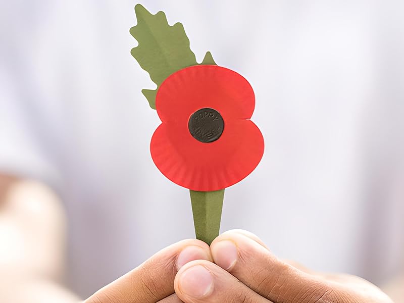 poppy paper pin