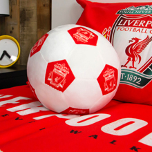 Liverpool Fleece and Cushion