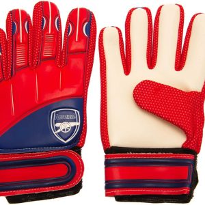 Hy-Pro Officially Licensed Goalkeeper Gloves