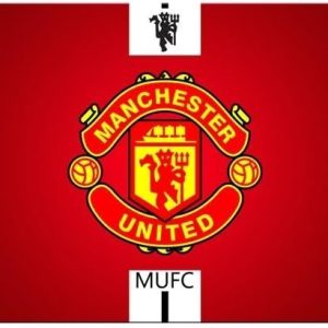 26x21cm / 10x8inch Game Mouse Pads rubber * cloth Comfortable Non-Skid Manchester United FC soccer club logo