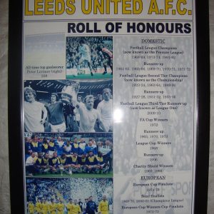Lilywhite Multimedia Leeds United club history roll of honours - framed print