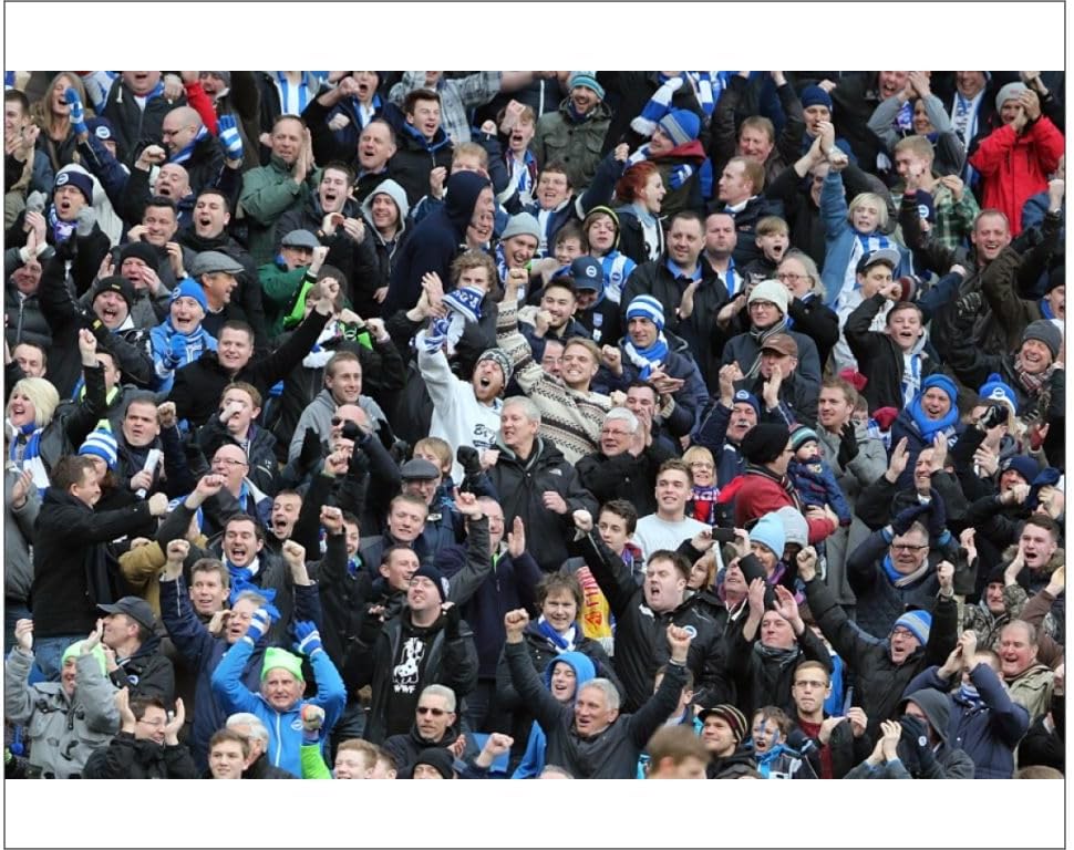 Media Storehouse Brighton And Hove Albion FC 2012-13 Home Season Print - Print 10"x8" (25x20cm) (8414436)