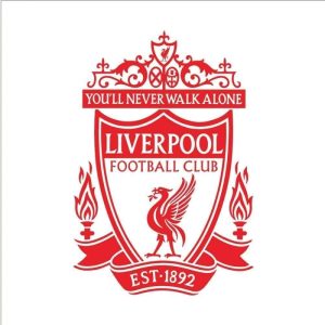 Wall Sticker Art Wall Decal 3D Liverpool Self Adhesive Football Club 58X85Cm
