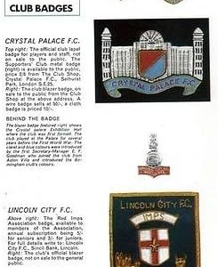 picture Crystal Palace EAGLES + Lincoln City IMPS