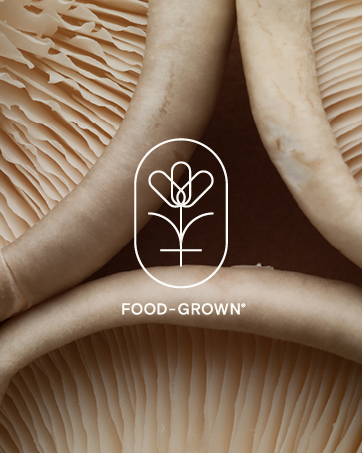 Minimalist logo design featuring a simplified flower or plant motif in line art style with 'FOOD-GROWN' text, set against mushroom imagery.