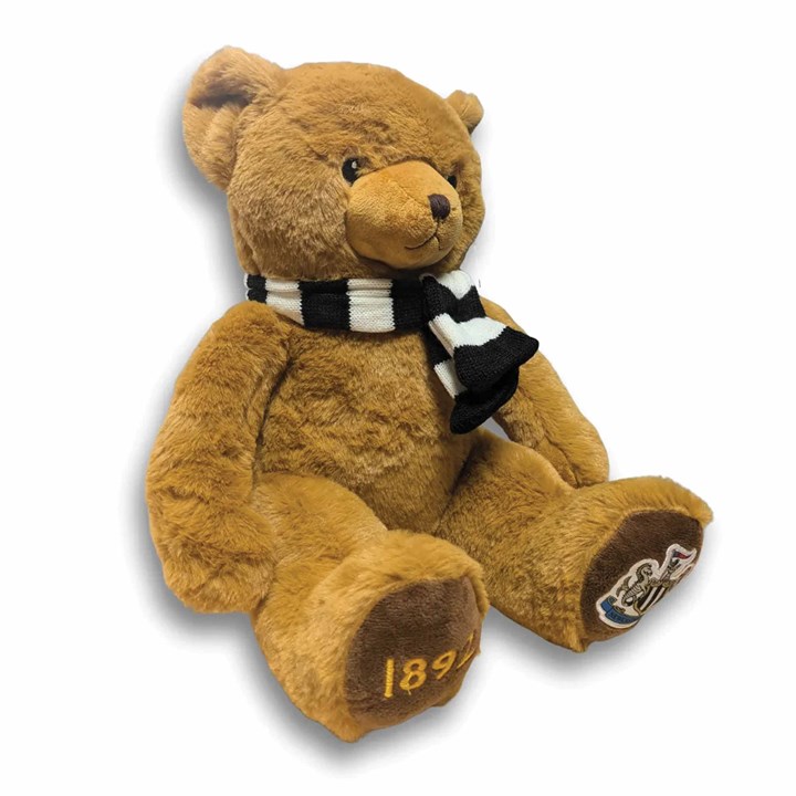 Newcastle Castle FC St James Bear